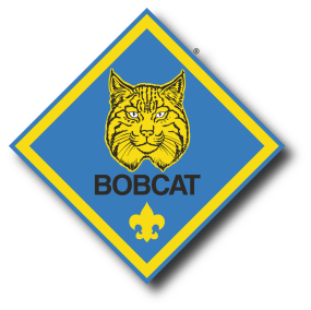 cub scout bobcat rank alt text