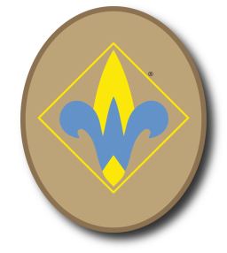 cub scout webelos rank alt text