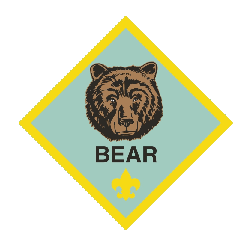 Bear Logo shield